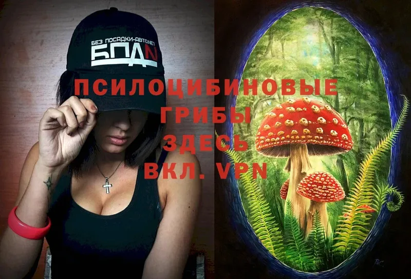 Галлюциногенные грибы MAGIC MUSHROOMS Скопин